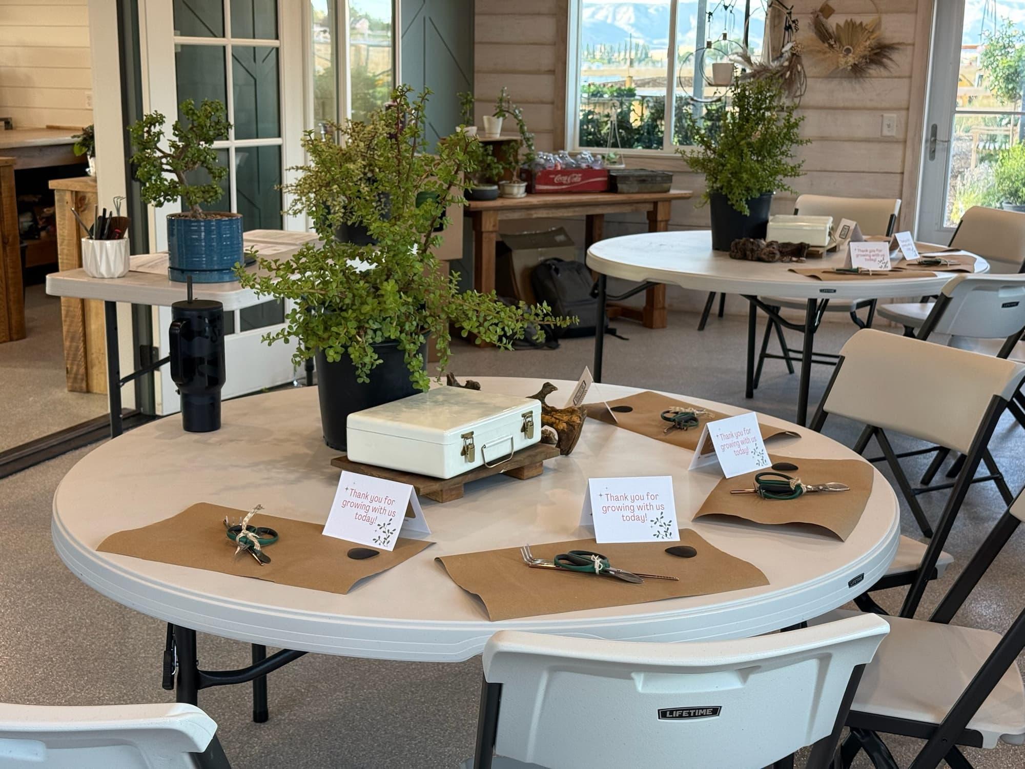 Round tables set with kraft paper, scissors, thank-you cards and large dwarf jade plants before class